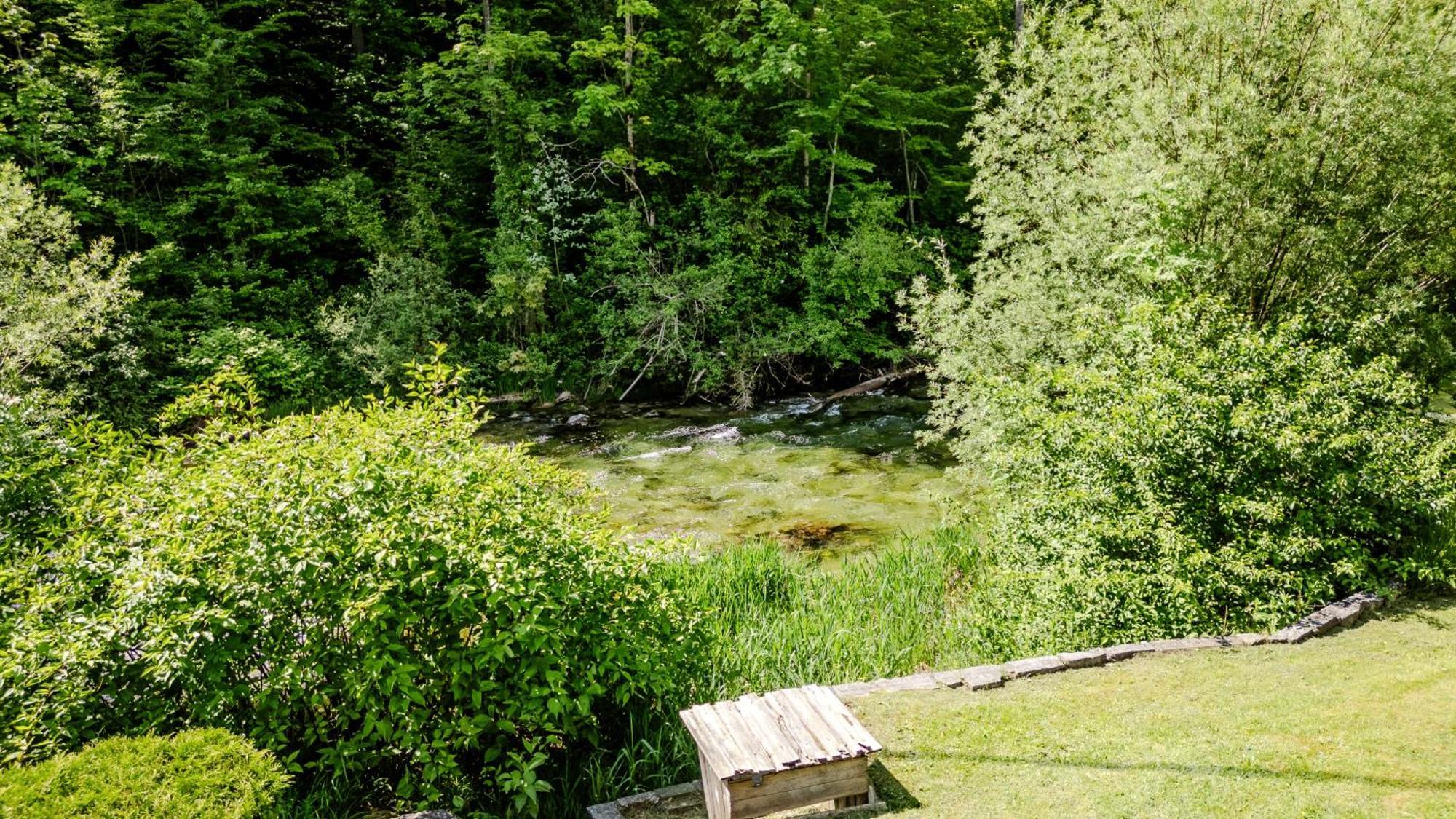 Ferienwohnung Traunplatzl Bad Aussee Bagian luar foto